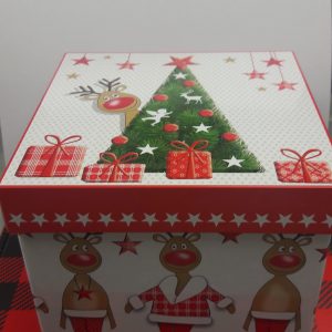 “Gift Box” Canister / Tin gift Set Reindeer Tins