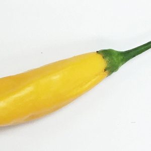 Aji Cito Pepper