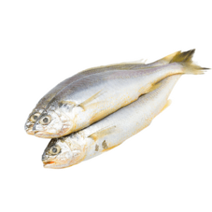 Whole Croaker | Pack of 4 – Fresh & Flavorful Seafood Delicacy