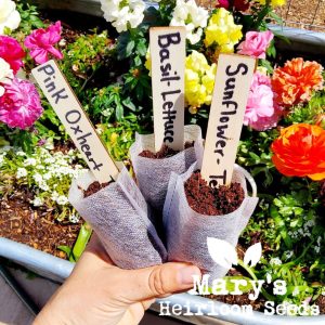 Bamboo Plant Labels – Long