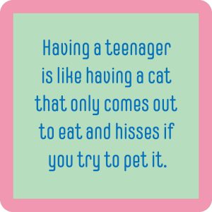 Drinks on Me coasters – Teenager/cat