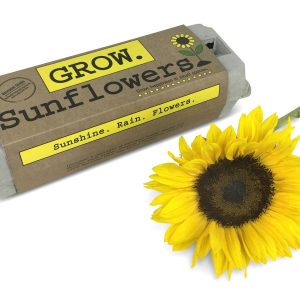 Backyard Safari Company – Sunflower Garden Grow Kit