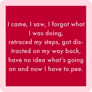 Drinks on Me coasters – I Came, I Saw