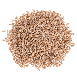 Wheat Berries, Hard Red, Spring Wheat