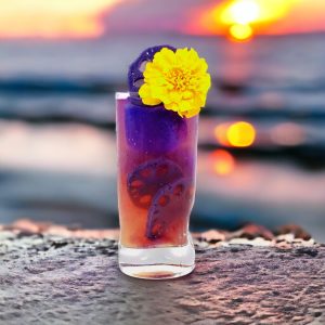 Wild Hibiscus Flower Company – Lotus Slices in Butterfly Pea & Elderfl