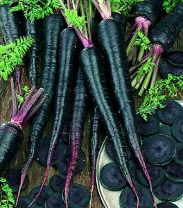 Black Nebula Carrot